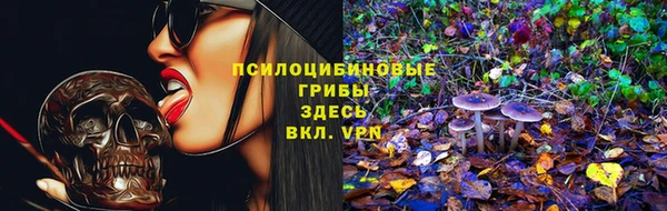 эйфоретик Белокуриха