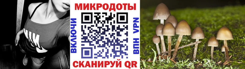 Псилоцибиновые грибы Cubensis  купить наркотик  Павловск 